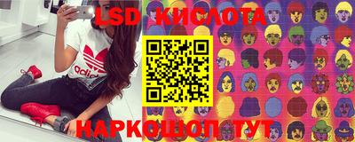 прущие грибы Коммунар