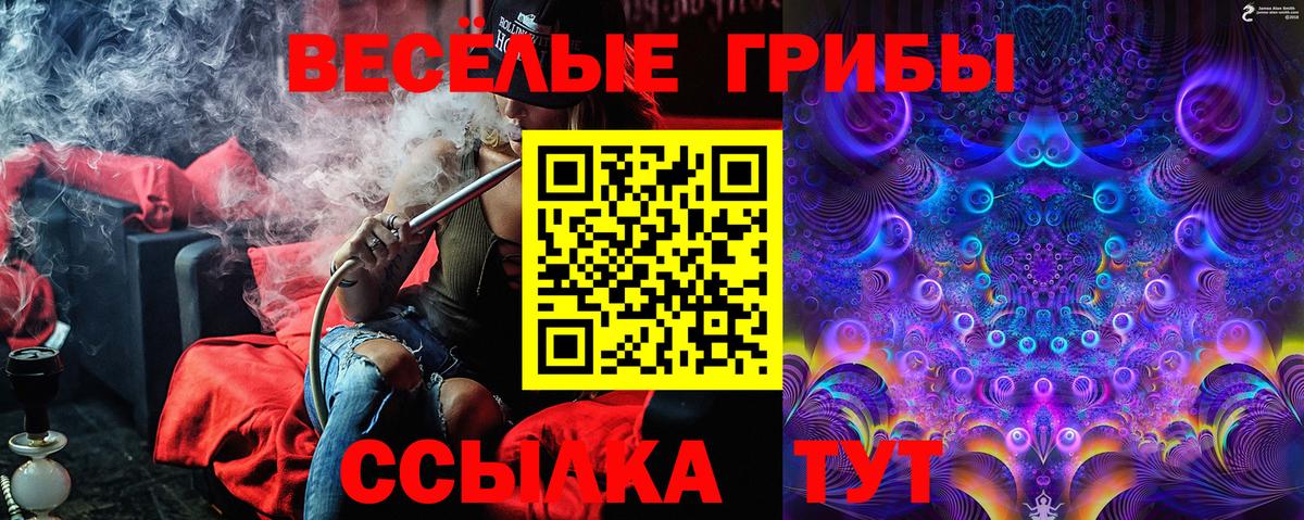 Галлюциногенные грибы Psilocybe Кувандык