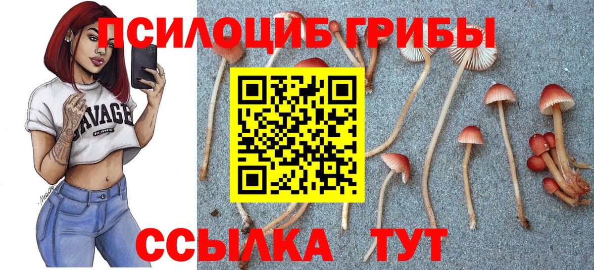 Галлюциногенные грибы MAGIC MUSHROOMS  Вход с VPN  купить наркотик  Кувандык 